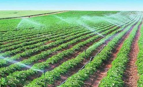 男女操逼的网站农田高 效节水灌溉